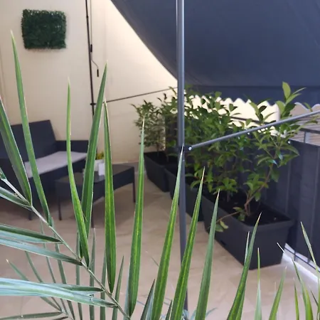 Tiny Di Carlo פלרמו