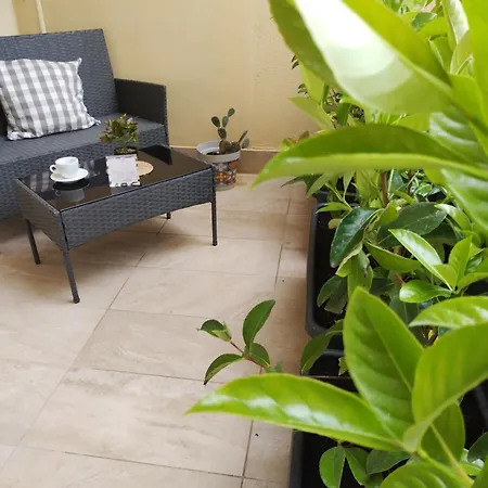 Tiny Di Carlo パレルモ