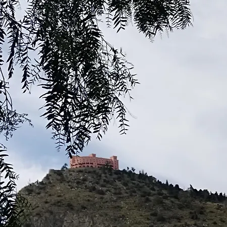 Tiny Di Carlo アパート