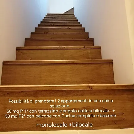 Tiny Di Carlo * パレルモ